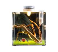 Generico Cage du Reptile Clair, Petite Enceinte pour animaux de compagnie, Terrarium acrylique la croissance des araignées sautant | Petit conteneur compagnie polyvalent coléoptères, t