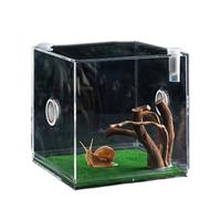 Generico Cage du Reptile Clair, Petite Enceinte pour animaux de compagnie, Terrarium acrylique la croissance des araignées sautant | Petit conteneur compagnie polyvalent coléoptères, t