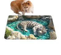 Generico Carpets with Optical Effect, Non-Slip Mat with Trap Effect, 3D Rug with Optical Illusion, for Porch, Entrance, Bathroom, Kitchen, Indoor Environments, Halloween Decorations