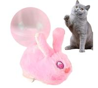 Generico Cat Rolling Toy, Intelligent and Interactive Toy | Rolling Ball, for Kittens: Indoor Exercise, Entertainment, Hunting and Boredom Game