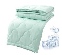 Generico Cooling Blanket for Heated Sleepers - Lightweight Quilt | Double Sided Breathable Summer Blanket with Ice Effect for Adults Who Suffer the Heat