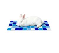 Generico Cooling Mat for Dwarf Rabbits and Bunnies - AI Resistant Pet Sleeping Cushion, Refreshing Mat Hamsters, Ferrets Squirrel Hedgehog and Chinchillas