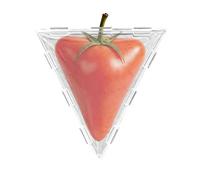 Genérico Cucumber Molds, Transparent and Reusable Forming Tool - Mould for Growing and Shaping Cucumbers, for Pumpkins, Strawberries, Pears Tomatoes, Garden, Backyard and Terrace