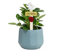 Genérico Cute Resin Rabbit Wood Welcome Sign, Easter Yard Decoration Stakes, Easter Bunny Lawn Signs for Porches, Patio, Balcony, Terrace, Walkway, CAM