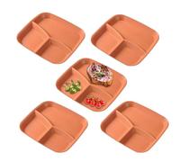 Genérico Divided Plate with Dividers - 3 Section Tray, 5 Piece Set with Dividers, for Adults, for Home Kitchen, Cooking, Eating, Fruits, Vegetables and Salad