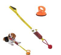 Generico Dog Toy Pulls and Spring with | Nibble Pillows with Suction Cup and Squeaker | Antinoia and Toys to Keep the Dog Busy | Teeth Cleaning Indoor and Outdoor Play and Training