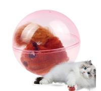 Generico Electric Toy for Cats, Soft and Realistic Squirrel Wand - Interactive Toys for Indoor Cats - Indoor Enrichment Exercise Kittens Play From Boredom Home