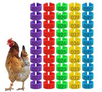 Generico Etiquettes Numérotées Volaille - Anneaux Cuisse Poulet Canard Oie 16 mm | Bandes Identification Couleurs Clip Durable | Accessoires Élevage Gestion Reproduction Marquage Animaux Ferme