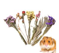 Generico Floral Litter Box for Hamsters, Natural Cage Decoration Gerbil Cage Decoration, Hamster Cage Decoration | for Hedgehog Rabbits Weddings Camping Theme Parties Holiday Art Festival