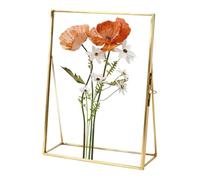 Generico Flower Press Frame | 10 x 15 cm Handmade Transparent Simple, Floating Photo Frame - For Dried Flowers Clovers Memories Art Paper Cutouts Desk Home Office