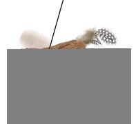 Generico Flying Toy for Cats | Electric Animal | Push Button with Remote Control | For Kittens Running Exercise Enrichment Indoor and Outdoor Play