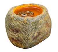 Generico for Reptiles | Wide Base Realistic Stone Effect, for Terrarium for Food Reptiles - for Geckos Turtles Hermit Crabs Bath Water Home Environment