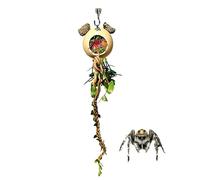 Generico for Terrarium Jumper, Reptile Games, or for and Reptiles, for Royal Pythons Lizards Turtles Hermit Hermit Dragons Bearded Frogs Tortoises Geckos Mantis Chameleons