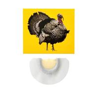 Generico Funny Whistle Maker for : Animal Sound Calling, Quirky Joke Device, Ventriloquism Tool | Family Friends Colleagues Novelty Jokes Play