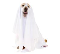 Generico Ghost Costume for Dogs | Ghost Costumes for Dogs and Cats - Pet Supplies Clothing Scary Suit for Cats Walk Celebrations Puppy Party