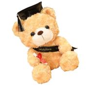 Generico Graduation Bear Toy - Graduation Gift Class 2022,Cute Brown Bear for Her for Him College High School