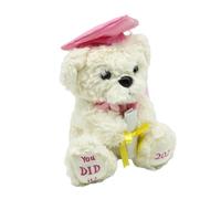 Generico Graduation Plush Bear | Plush Memory Animal for Graduation - Soft Bear for Graduates 2026 - For Kindergarten, Maternal, Elementary, University, Boys, Girls and Teenagers