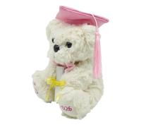 Generico Graduation Plush Bear, Plush Memory for Graduation, Gift | 2026 for University, Kindergarten, Elementary, Medium, , Children, Boys