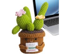 Generico Häkel Cactus Emotional Support Plant from the Wire | Decorative Cactus Figure for Adults Toddlers | Gift Idea for Table Top
