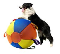Generico Herding Balls - Giant Inflatable, Pump Included, Durable Handle Design, Jumbo Play Ball | Dog Ball, for Medium, Large Breeds, Park, Pool, Backyard, Garden, Lawn, Outdoor