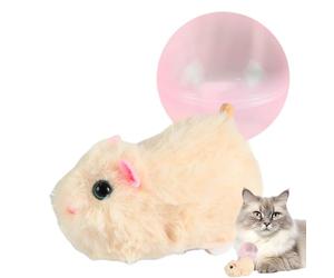 Generico Interactive Cat Ball, Funny Rechargeable Toy, Cat Ball, Puppy Pet Ball, Boredom Fight Ball, Exercise, Entertainment, Play and
