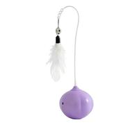 Generico Interactive Cat Toy for Cats, Teaser Wand for Pet Exercise | Cat Exercise Enrichment Toy - for Small Large Kittens for Indoor and Outdoor