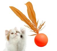 Genérico Kitten Ball Toys - Chew Ball for Medium Biting Ball with Feathers | Interactive Bouncing Pet Toys with Feathers for Commercial Activity