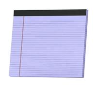Generico Notepads, 24 x 27 cm Lined for Medium, 30 Sheets Large Notepad | for Lawyers Professionals Office Home Classroom Study Note Taking Case Management