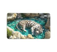 Generico Optical Illusion Mat, Non-Slip Trap Effect Mat, 3D Illusion Rug, for Entrance Decoration, Bathroom, Indoor, Halloween and Porch