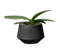 Genérico Orchid Pots,Growing Container for Orchids | Watering with Root Control and Breathable Double Layer for Indoor Gardening Sphagnum Moss and Violets