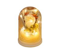 Generico Pink Forever In The Dome | LED With Preserved And Bright | Table Ornament With | Romantic Gift For Mom, Daughter, Wife, Sister, Girlfriend,