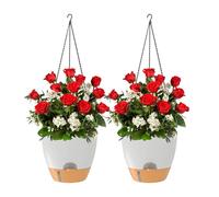 Generico Plant A - Decorative with Chain Basket, 2 Pieces Wall Vase for Indoor Plants - for Indoor Outdoor Wall Window Living Room Bedroom Balcony Terrace