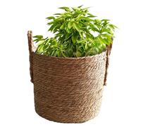 Genérico Plant Basket, Modern Woven Seaweed Plant Container for Storage, Decorative Leakproof Pot for Violin Leaf Fig Tree, Snake Plant, Flowers