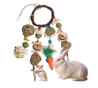 Genérico Rabbit Balls for Pendants in Cage Safe for Rabbits | Rabbit, for, Guinea Pig, Chinchilla, Toy for Care of Grinding the Di