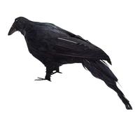Generico Realistic Prop, Artisan Statue of Black Feathered Raven | Decorative Model for Outdoors Party Ghosts Haunted House