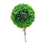 Generico Reptile Climbing Decoration | Realistic Flexible Fake Plants for Terrarium for Geckos Lizard Jumpers Turtles | Climbing Wall Decoration Terrarium Zoo