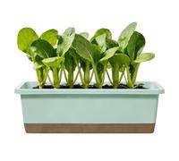 Genérico Self Watering Planter | Container for Planting Flowers - with Base, Drainage Hole and Absorbent Rope in Self Watering Flower Pots | for Bedroom Sill Outdoor Garden Terrace Balcony