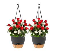Genérico Self-Watering Planter | with Decorative Basket of Chains, 2 Pieces for Indoor Plants | for Wall Garden Kitchen Balcony Outdoor Indoor Porch Living Room