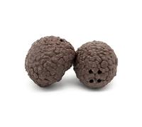 Generico Set of 2 Fake Truffles for Dog Training - Bayonet Closure, Truffle Oil Container, Washable and Reusable, Dark Brown