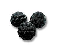Generico Set of 3 Fake Truffles for Dog Training - Black Plastic Truffle Training Truffle Container (Not Included) Reusable - Diameter 36×37mm