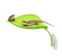 Generico Shelf for Frog Crucible - Habitat Leaf Shape ABS with | Reptile Tank Light Green for Turtles Frogs Leopard Geckos Lizards