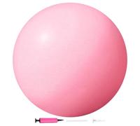 Generico Small Exercise Ball, Anti Burst 25 cm Inflatable | Mini Yoga Pilates Ball for Rehabilitation Bars Training Home Office - Gym Home Office