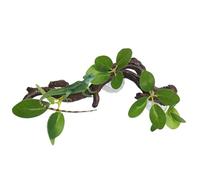 Generico Snake Climbing Branch - Natural Suction Tree, Branch with Leaves, Aquarium for Lizards, Enrichment Toys | Reptile Habitat Decoration for the Palest