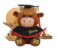 Generico Soft Plush Cushion - Stuffed Animal Cushion for Collection, Graduation Decoration Plush Toy for Children, Boys and Girls, Kindergarten Room Photo Object Shelf Birthday