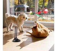 Genérico Teaser for Cats - Ab Base 35.43 x 2.76 x 0.79 Inches + Toy for Cats Wire DEE Elastic Steel | Retractable Teaser for Exercise, Training and Time D
