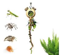Generico Terrarium | Climbing Reptile Climbing Games | for Royal Pythons Lizards Turtles Hermit Hermit Dragons Bearded Frogs Tortoises Geckos Mantids Chameleons
