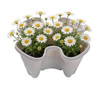 Genérico Vertical Planter Tower, Stackable Non-Slip with Secure Drainage | Planters for Indoor Outdoor Garden - Decoration for Garden Terrace Balcony Home Apartment