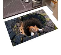 Générique 3D Optical Illusion Mat - Realistic Non-Slip Bath Mat for Bedroom and Office | Modern Design for Living Room and Entryway | Original Decoration for Apartment and Dorm