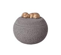 Générique Animals Cremation Urn - Decorative Memory Box with Lid | Cement Container Small Animals, Funeral Keepsake Collecting Gift Grey 350ml