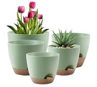 Générique Automatic Watering 5 Flowers for Cactus and Orchids with Saucers and Tank, Automatic Watering Flowers - for Outdoor, Garden, Balcony, Patio, Yard